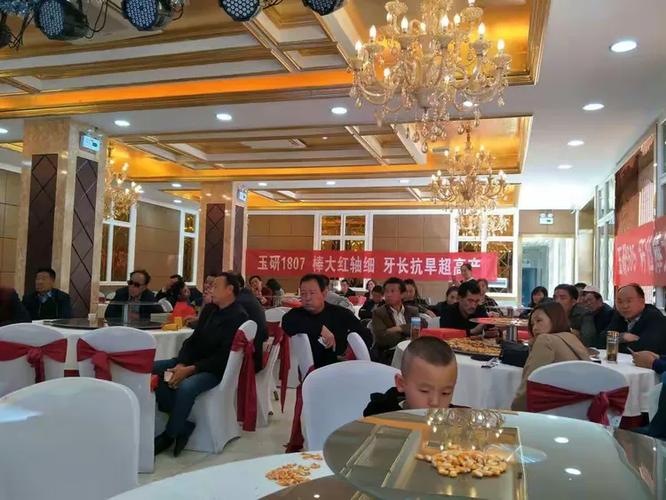 玉源种业,玉研1807.玉研505在庆阳成长的路上